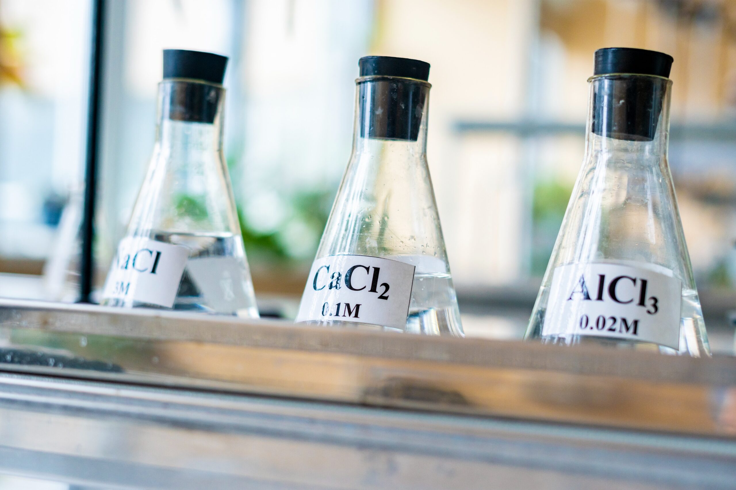 chemical-flasks-with-acid-stand-in-laboratory-b-2024-09-17-19-30-32-utc (1)